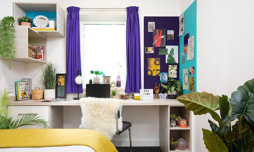 A small room featuring a desk, a bed, and a green plant in the corner, creating a cozy atmosphere.