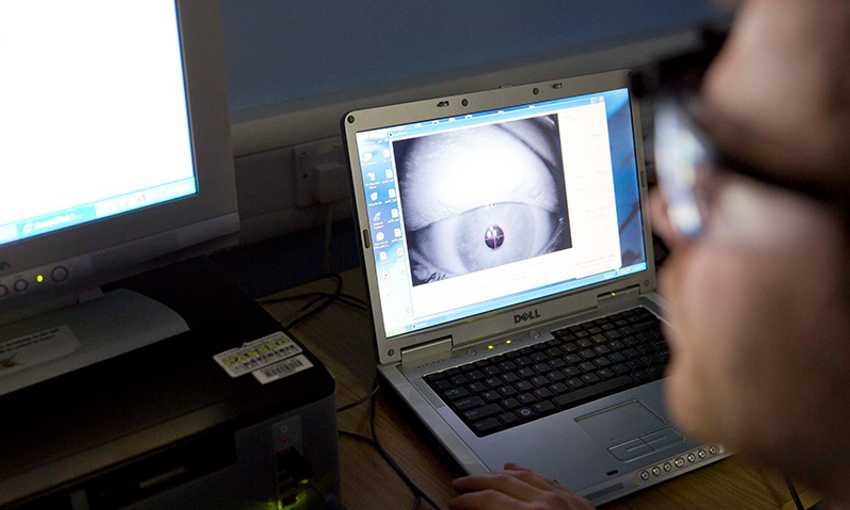 A close-up of a person working on a Dell laptop displaying an eye-tracking software interface. The screen shows a magnified image of an eye being analyzed. A second computer monitor and other lab equipment are visible in the background.